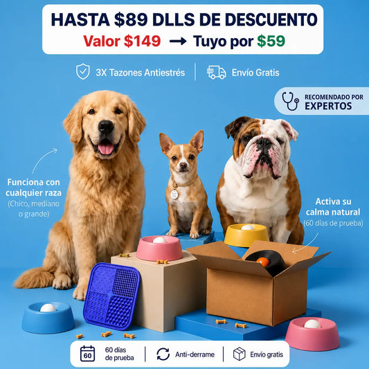 Camly BowlUSA™ Tazón Antiestrés