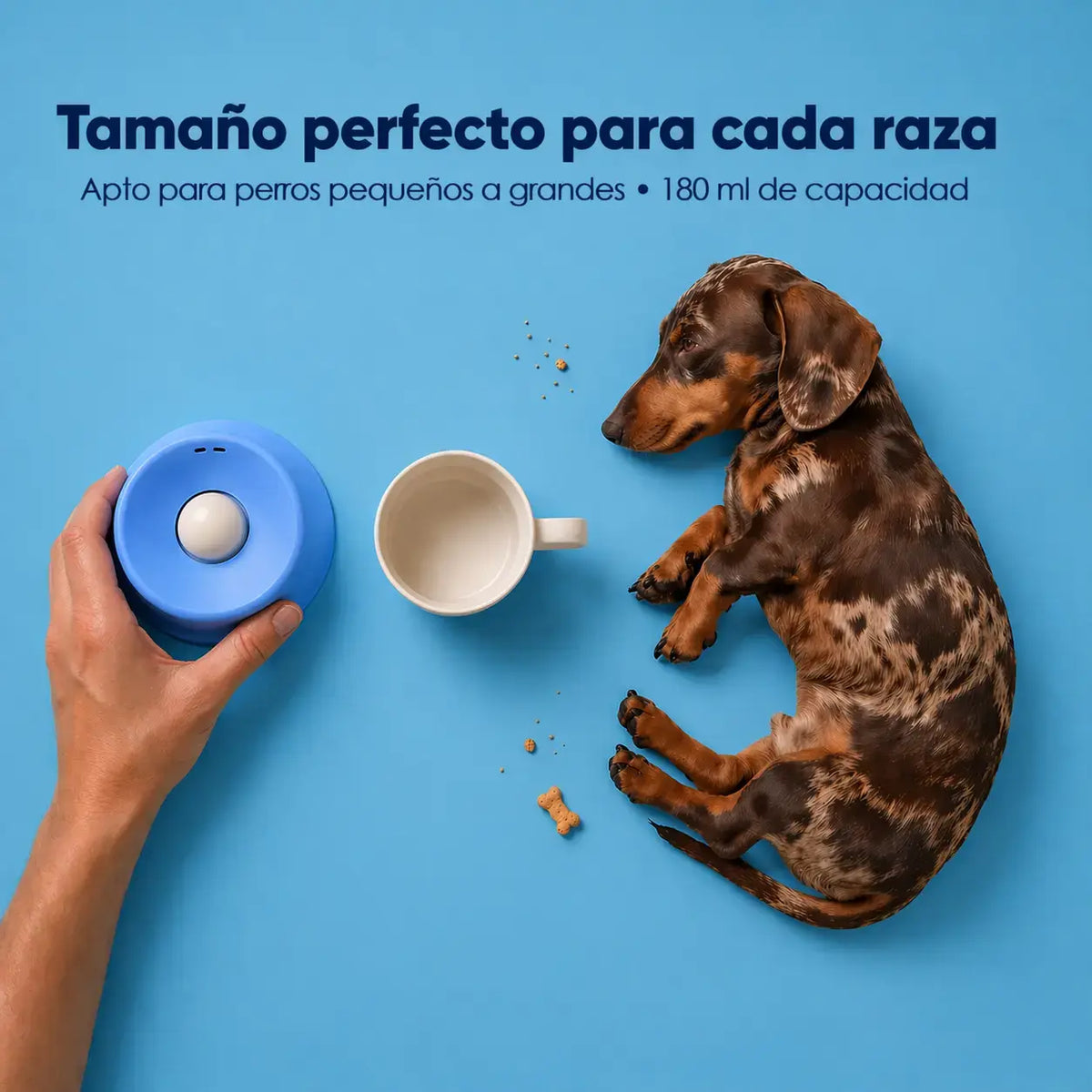Camly Bowl™ Tazón Antiestrés