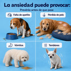 Camly Bowl™ Tazón Antiestrés