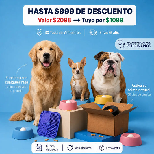 Camly Bowl™ Tazón Antiestrés