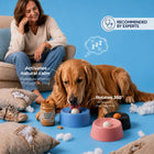 Camly Bowl™ Mental Estimulation