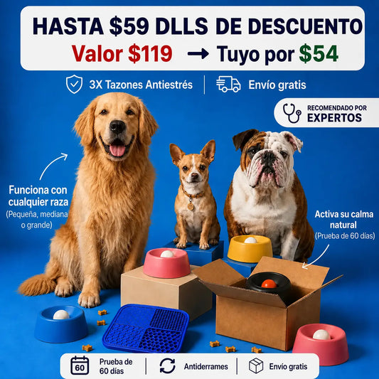 Camly Bowl™ Tazón Antiestrés